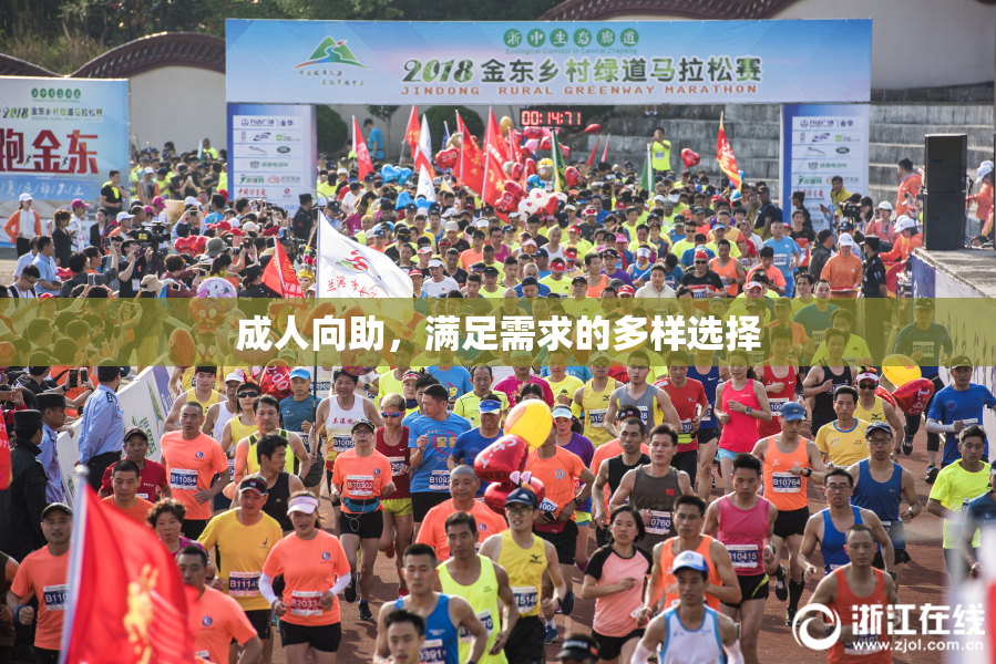 成人向助，满足需求的多样选择