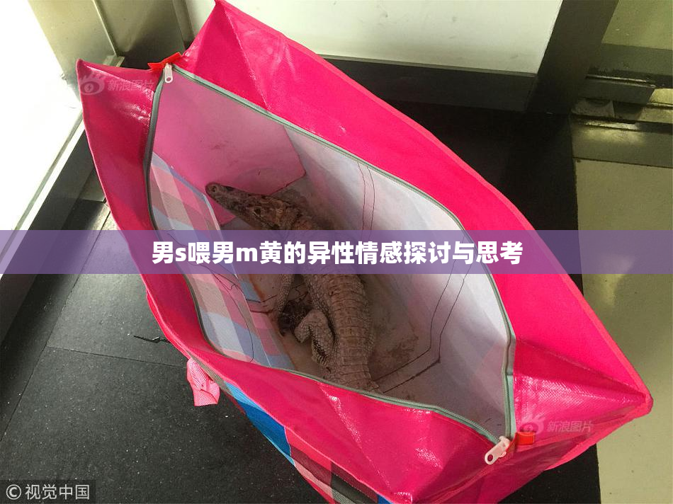 男s喂男m黄的异性情感探讨与思考