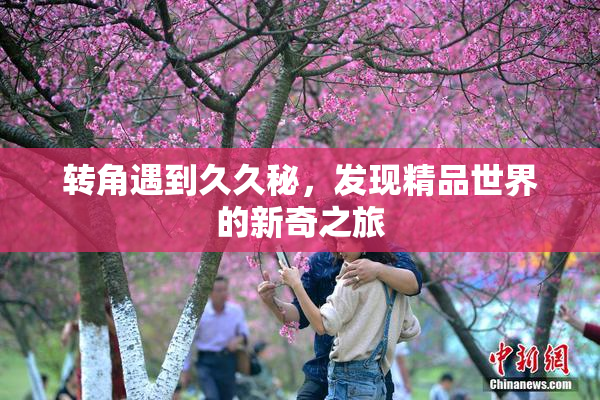 转角遇到久久秘，发现精品世界的新奇之旅