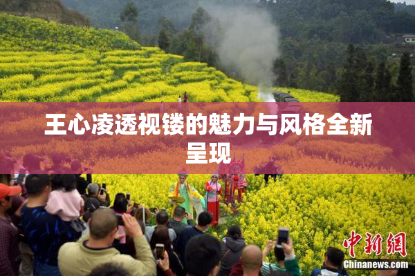 王心凌透视镂的魅力与风格全新呈现