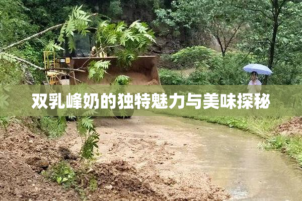 双乳峰奶的独特魅力与美味探秘