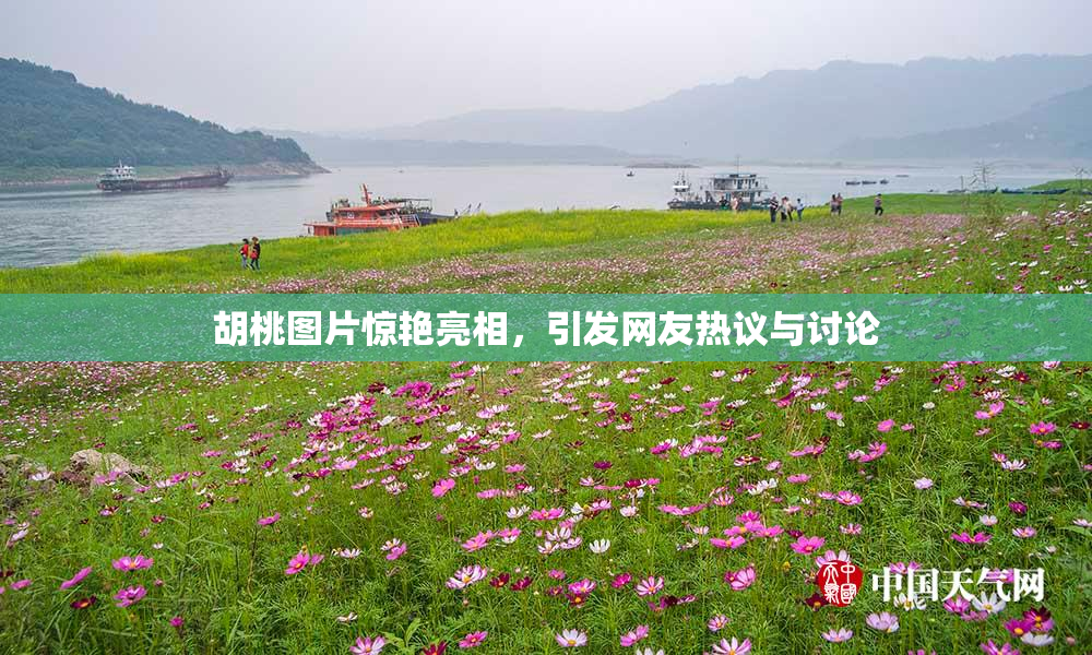 胡桃图片惊艳亮相，引发网友热议与讨论