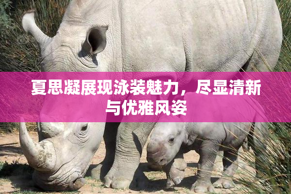 夏思凝展现泳装魅力，尽显清新与优雅风姿