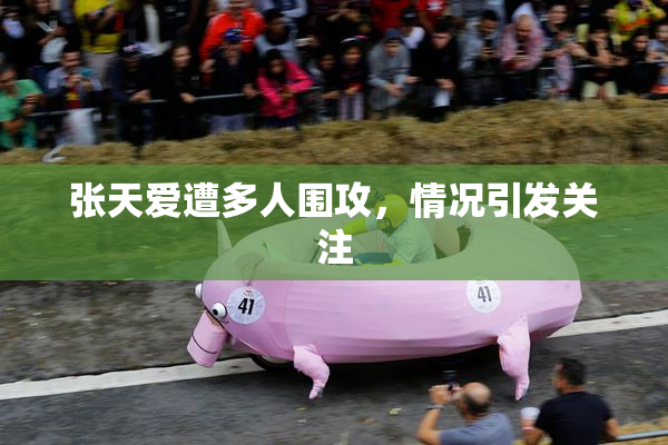 张天爱遭多人围攻，情况引发关注