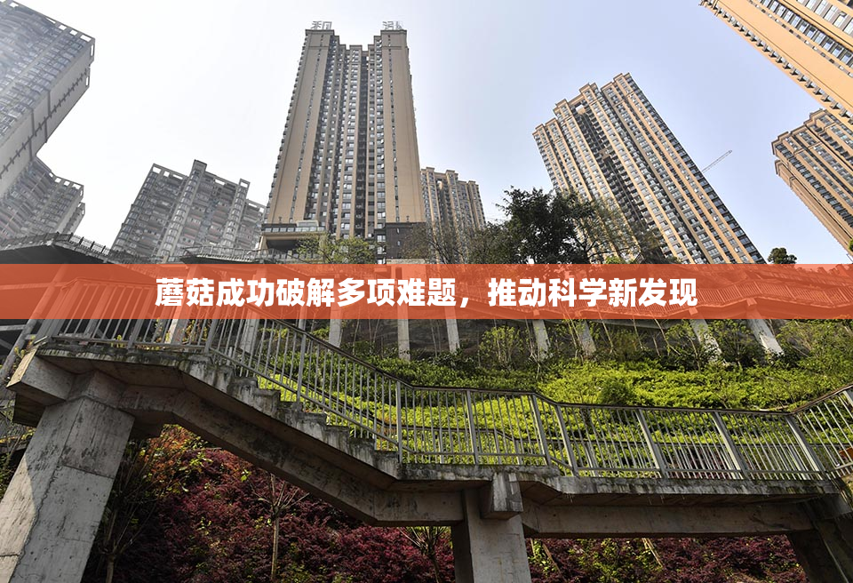 蘑菇成功破解多项难题，推动科学新发现