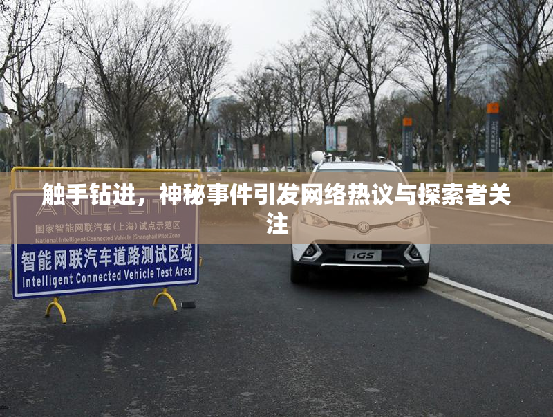 触手钻进，神秘事件引发网络热议与探索者关注