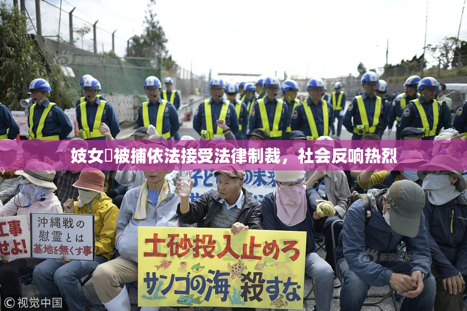 妓女梱被捕依法接受法律制裁，社会反响热烈