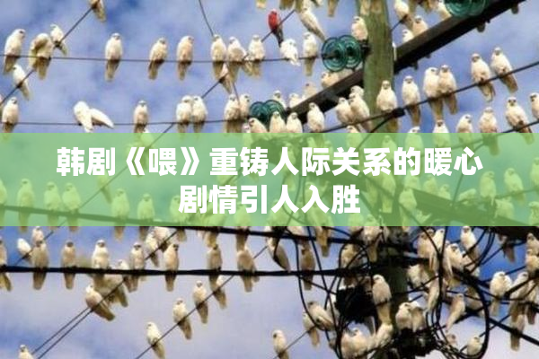 韩剧《喂》重铸人际关系的暖心剧情引人入胜