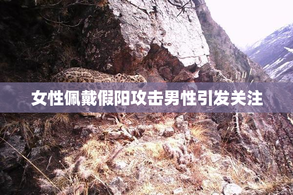 女性佩戴假阳攻击男性引发关注