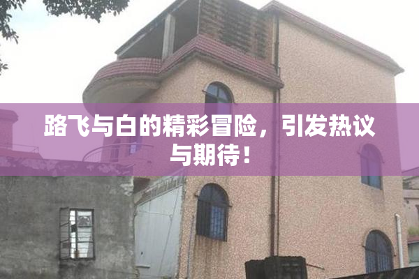 路飞与白的精彩冒险，引发热议与期待！