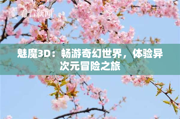 魅魔3D：畅游奇幻世界，体验异次元冒险之旅