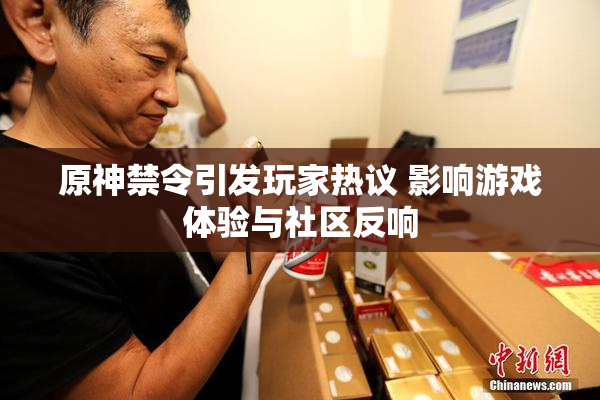 原神禁令引发玩家热议 影响游戏体验与社区反响