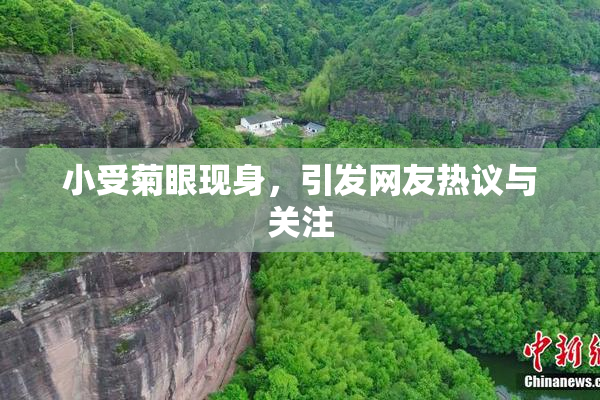 小受菊眼现身，引发网友热议与关注