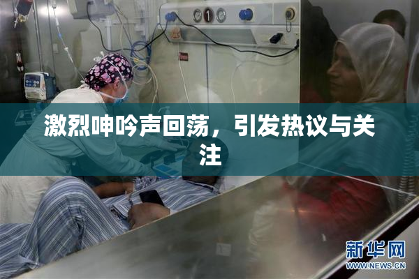 激烈呻吟声回荡，引发热议与关注