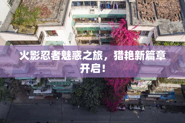 火影忍者魅惑之旅，猎艳新篇章开启！