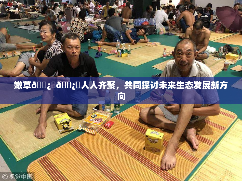 嫩草🌿‌🌿‌人人齐聚，共同探讨未来生态发展新方向
