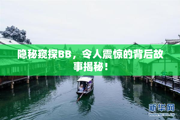 隐秘窥探BB，令人震惊的背后故事揭秘！