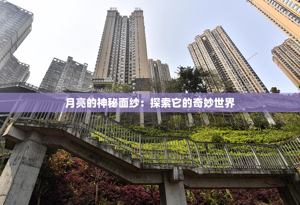 月亮的神秘面纱：探索它的奇妙世界