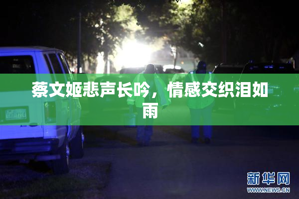 蔡文姬悲声长吟，情感交织泪如雨