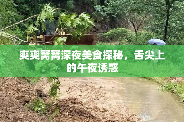 爽爽窝窝深夜美食探秘，舌尖上的午夜诱惑