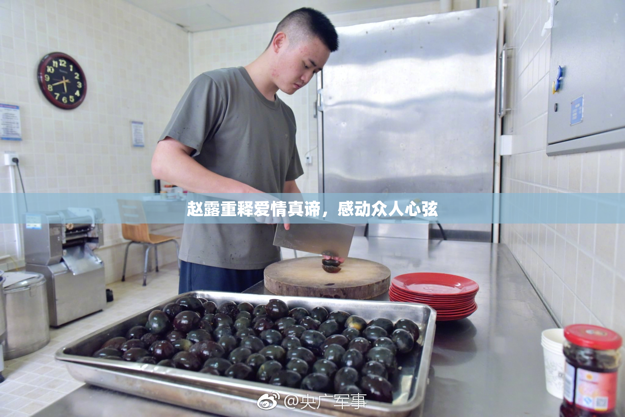 赵露重释爱情真谛，感动众人心弦