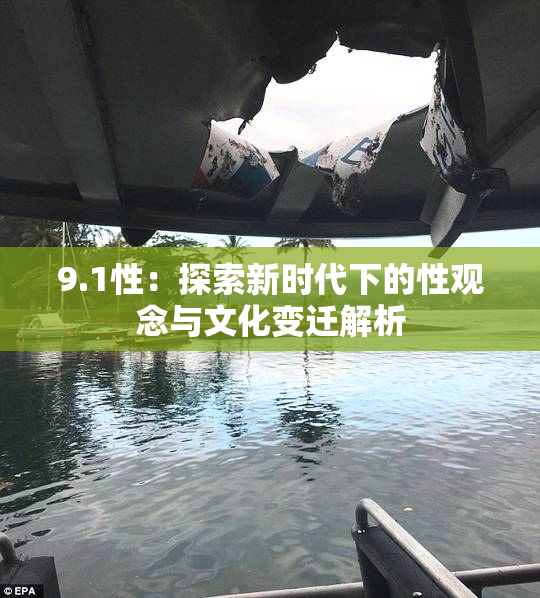 9.1性：探索新时代下的性观念与文化变迁解析