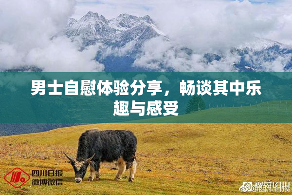 男士自慰体验分享，畅谈其中乐趣与感受