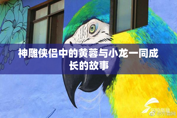 神雕侠侣中的黄蓉与小龙一同成长的故事