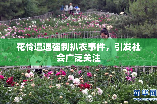 花怜遭遇强制扒衣事件，引发社会广泛关注