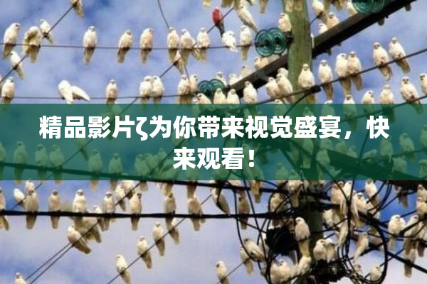 精品影片ζ为你带来视觉盛宴，快来观看！