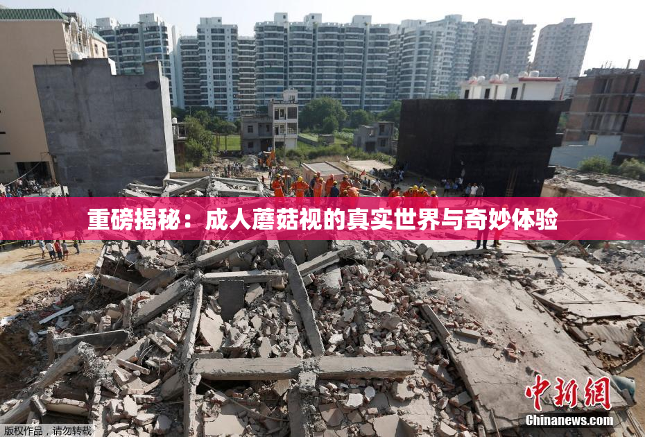 重磅揭秘：成人蘑菇视的真实世界与奇妙体验