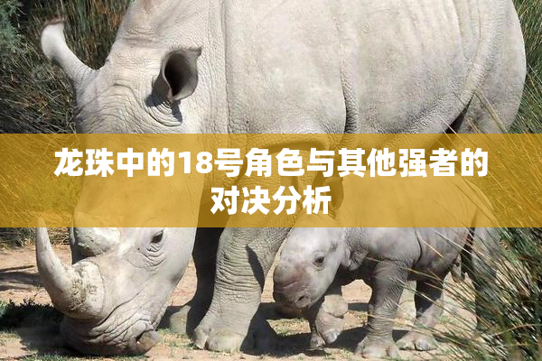龙珠中的18号角色与其他强者的对决分析