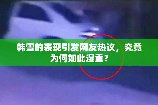 韩雪的表现引发网友热议，究竟为何如此湿重？