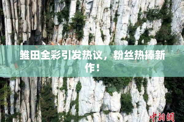 雏田全彩引发热议，粉丝热捧新作！
