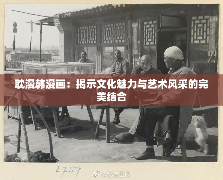 耽漫韩漫画：揭示文化魅力与艺术风采的完美结合