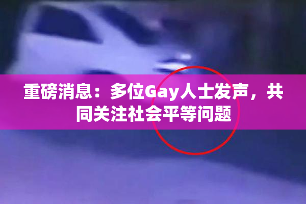 重磅消息：多位Gay人士发声，共同关注社会平等问题
