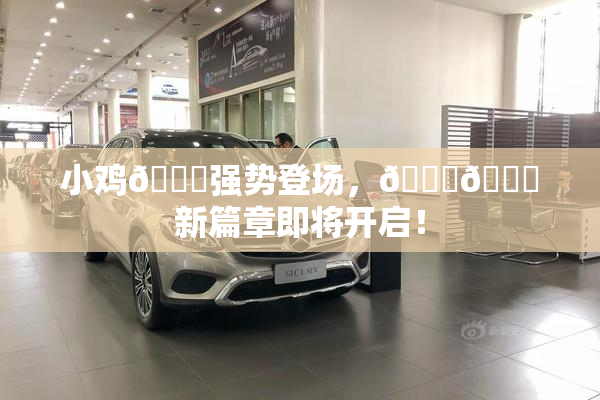 小鸡🐔强势登场，🍑🔞新篇章即将开启！