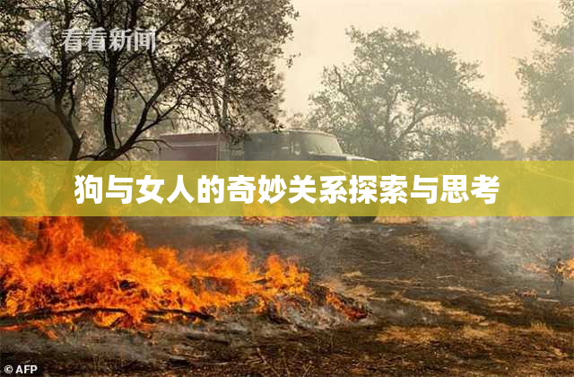 狗与女人的奇妙关系探索与思考