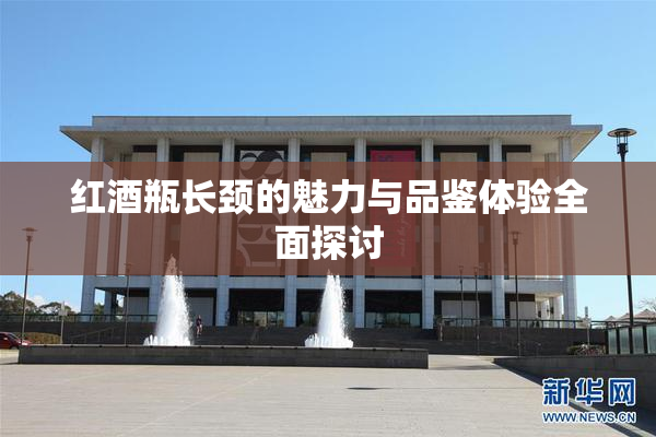 红酒瓶长颈的魅力与品鉴体验全面探讨