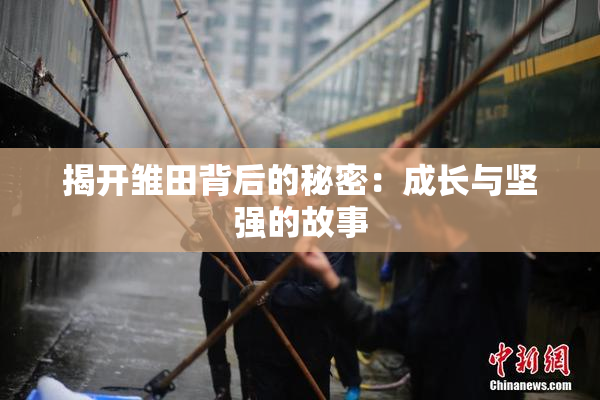 揭开雏田背后的秘密：成长与坚强的故事