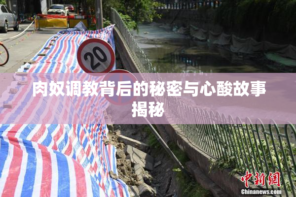 肉奴调教背后的秘密与心酸故事揭秘