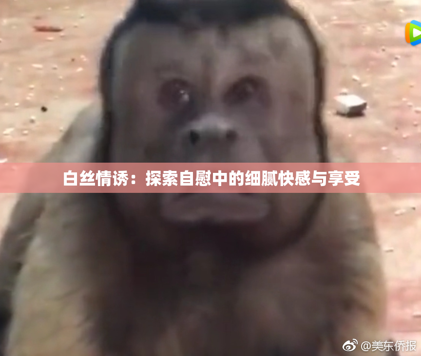 白丝情诱：探索自慰中的细腻快感与享受
