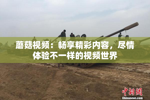 蘑菇视频：畅享精彩内容，尽情体验不一样的视频世界