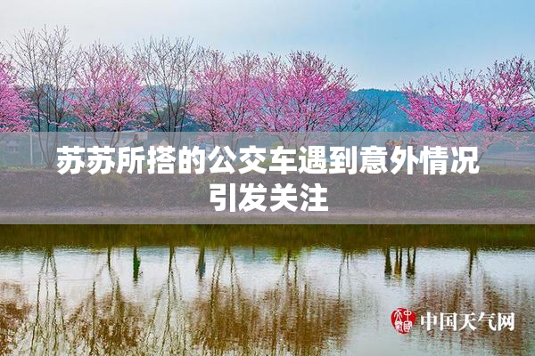 苏苏所搭的公交车遇到意外情况引发关注