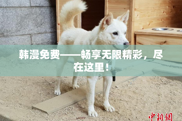 韩漫免费——畅享无限精彩，尽在这里！