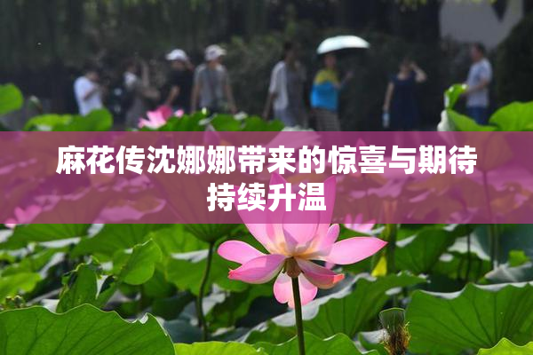 麻花传沈娜娜带来的惊喜与期待持续升温