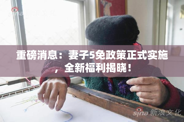 重磅消息：妻子5免政策正式实施，全新福利揭晓！