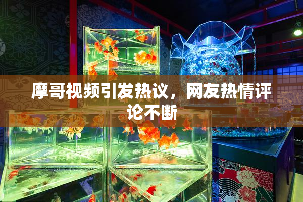 摩哥视频引发热议，网友热情评论不断