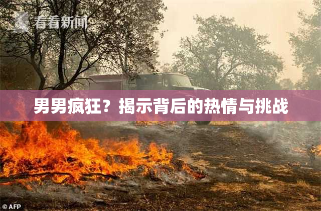 男男疯狂？揭示背后的热情与挑战