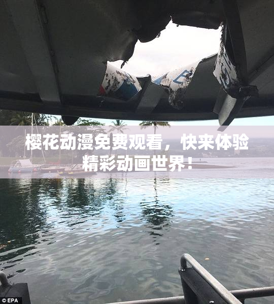 樱花动漫免费观看，快来体验精彩动画世界！